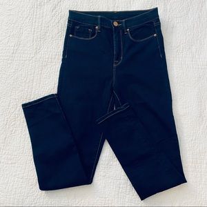 BDG Twig High Rise Dark Wash Skinny Jeans